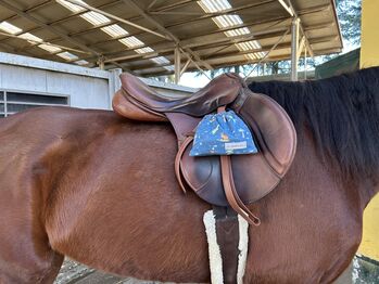 Stubben Roxane de Luxe 18/29, Stubben  Roxane, Fiammetta, Jumping Saddle, Trofarello