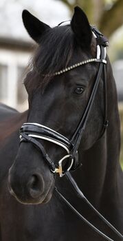 Royal h Trense + Zügel, rundgenäht, Gr. WB Royal h Schmuckunikate 