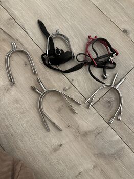 Diverse Sporen, Anna-Lena Baumert, Ostrogi, Mittelstenahe