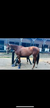 Ruby- a super eventer the making