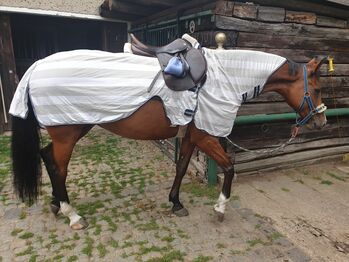 Fliegeausreitdecke 125, Elisa, Horse Blankets, Sheets & Coolers, Heidenau 