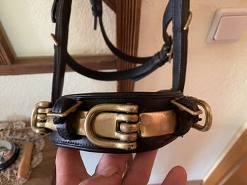 Sabro Kappzaum in schwarz Gr. VB sehr guter Zustand, Sabro  Kappzaum , Elke Chudzinski, Bitless Bridles, Saarlouis 