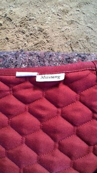 Satteldecke VS Mustang