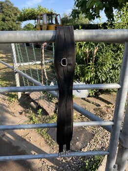 Sattelgurt, Showmaster, Sina, Girths & Cinches, Hamminkeln