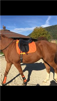 Schabracke Dressur, HKM, Natascha , Dressage Pads, Attnang-Puchheim