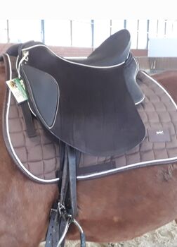 Sattel gestohlen, Sommer Marakesh , Sonja , Endurance Saddle, Kranenburg 