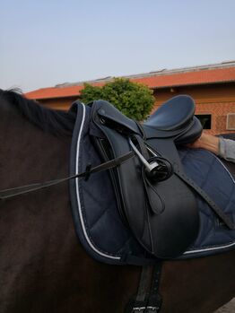 Sattel Dressursattel Stübben Maestoso de Luxe kaum genutzt, Stübben Stübben Maestose de Luxe, Danny, Dressage Saddle, Münster