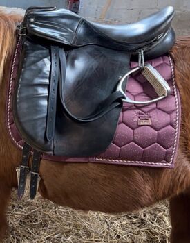 Islandpferdesattel 17,5 Waldhausen, Waldhausen  Islandpferdesattel, Patricia, Icelandic Saddle, Lauterbach