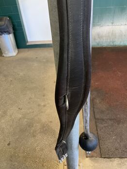 Sattelgurt Leder, Isabelle, Girths & Cinches, Lupfig