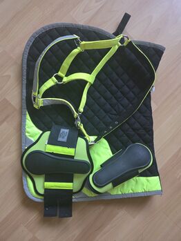Schabracke + Gamasche + Halfter Safe Prodect, Kerstin , Dressage Pads, Essen