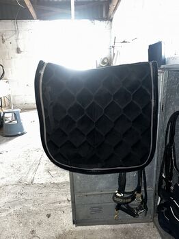 Schwarze Samt Schabracke, Busse, Anna Bunzendahl , Dressage Pads, Trendelburg
