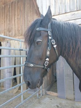 Verkaufe Original Portugiesischen Show Zaum