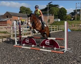 Safe mother/daughter share, Benetto Anette, Horses For Sale, Gauteng