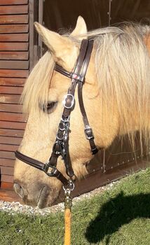 SALE% 238€ Kieffer Trail Wanderzaum Wanderreittrense VB WB XF braun schwarz Kieffer Trail Wanderreit Zaum mit Zügel