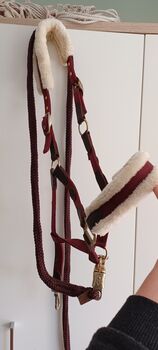 VERKAUFE Felix Bühler Halfter bordeaux Cob, Krämer, Felix Bühler., Antonia S., Halters, Hurlach