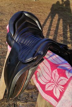 Sattel Maxflex Fado, Maxflex  Fado , Yvonne, Wanderreitsattel, Berglangenbach