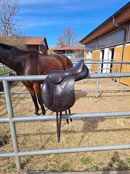 Sattel WOW Classic  VSS 17 Zoll, WOW Classique , Sandra Hofmann, Vielseitigkeitssattel (VS), Dittellbrunn