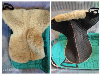 Sattelpads, Michaela Rußwurm, Andere Pads, Gresten