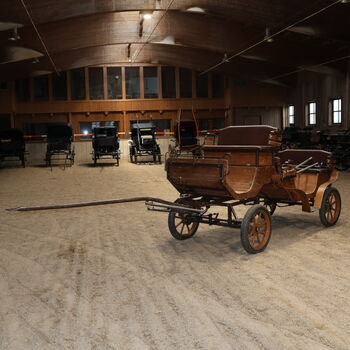 Sawa Freizeitwagen Kutsche Schmid Herdwangen, Sawa Freizeitwagen, Niklas Jäger (2ndTrade e.K.), Carriages, Wolnzach