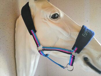 süßes Pony ( Gr. Cop) Halfter  mit Stickerei, Una (Horse-design), Halters, Rot am See