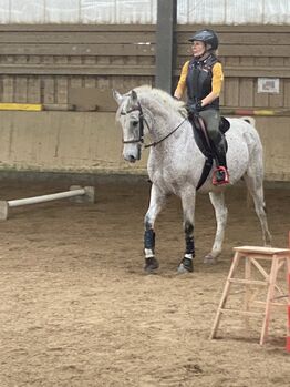 Schleese Bubi 16,5 Sitz 39cm Auflage Schleese Bubi