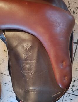 Schleese Tango 2 mit farblich passender Trense in cognac Schleese  Tango