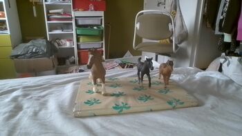 schleich horses, schleich schleich, Gina, Other, Leidschendam