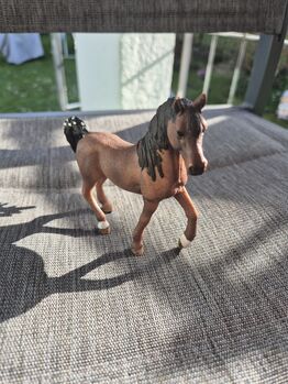 Schleichpferde und No Name Marke, Tamara O., Bücher, Windisch