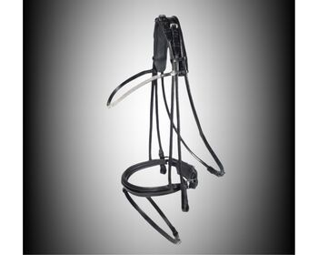 Schockemöhle Trense Den Haag Rundgenäht Black/Silver NEU!!-Wegen Aufgabe des Rei......, Schockemöhle Schockemöhle Trense Den Haag Rundgenäht Black/Silver , anzeigenforum , Bridles & Headstalls, Witten 