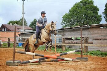 schönes pony