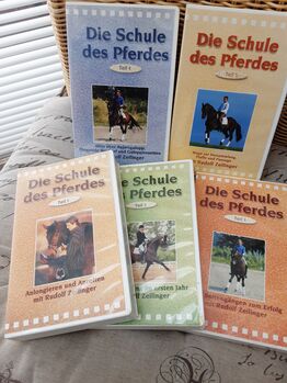 Schule des Pferdes 5teilig Videos Rudolf Zeilinger
