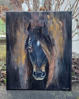 Schwarzes Pferd Oelgemaelde, Ola, Pferd kaufen, Dallikon
