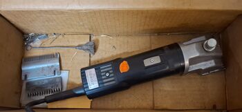 Schermaschine, Eider, Denise , Czyszczenie konia, Berlin