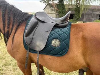 SeaBis Dressursattel Selma Revolution 18 Zoll, SeaBis Selma Revolution 20111899, Tina, Dressage Saddle, Kösching