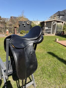 SeaBis Zamora Sattel, SeaBis  Zarmona , Celin, Dressage Saddle, Ganderkesee