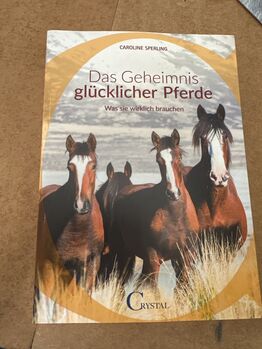 Das Geheimnis glücklicher Pferde