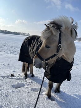 Verkaufe 2 Pferde Decken, Stalldecke und Wind und Regendecke , Lisa KrLnt, Horse Blankets, Sheets & Coolers, Bad Bevensen 