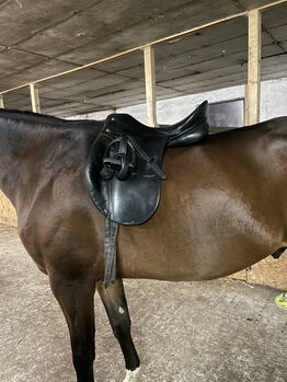 Verkaufe Dressursattel der Marke Passier, Passier Corona I, Franziska , Dressage Saddle, Bad Schwartau 