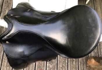 Verkaufe sehr gut erhaltenen Passier Grand Gilbert Dressursattel 16,5 Zoll, Passier Grand Gilbert, GKM, Dressage Saddle, Esslingen