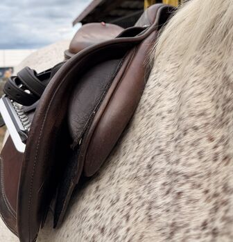 Selleria Equipe Springsattel braun Selleria Equipe p EK Carbon 