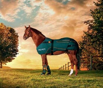 Verkaufe mein Bemer Horse Set ( Bild dient zur Aufmerksamkeit) Bemer Horse Set 