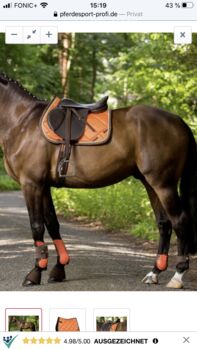 Set Gr. Pony Lauria G. Golden Gate, Laura Garrelli Golden Gate, Anna-Lena Michel-Berkau, Dressage Pads, Eppingen 