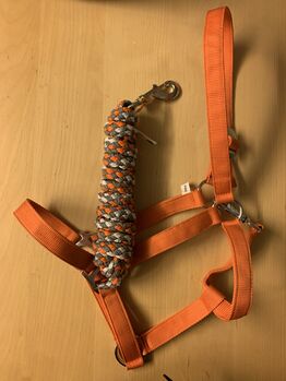 Halfter Strick Set, Kranen , Halters, Issum 