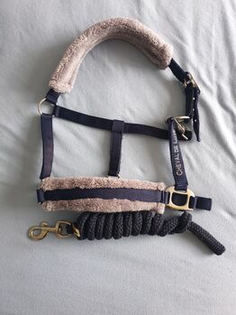 Set Schabracke Bandagen Halfter Strick blau Passier Eskadron Passier