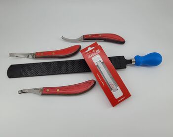 SET Anspruchsvolle Hufpflege Bassoli 