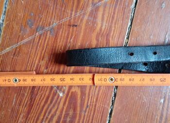 mehrere Ponyfohlenhalfter