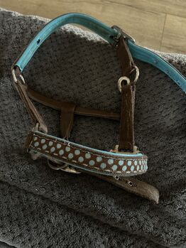 Shetty Halfter, Halfter , Lena Pittermann , Halters, Wirsberg 