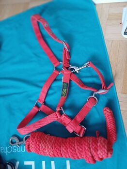 Shetty halfter und strick, Usg Halfter, Enja, Halters, Seewen SZ