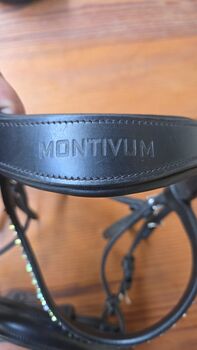 Shetty Trense Montivum 
