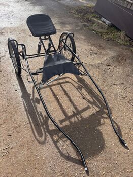 Shetty Sulky, Maier F013, I. Kaufmann, Carriages, Bettwiesen